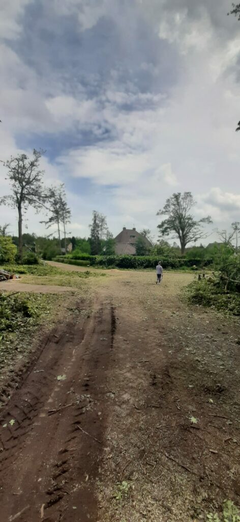 Na de orkaan eeen weg zonder bomen